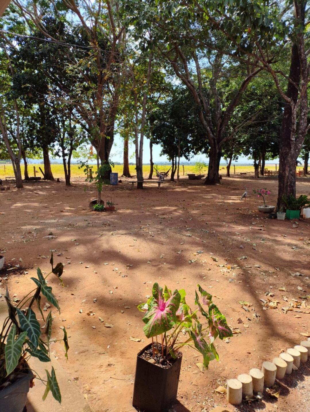 Pousada O Canto Da Seriema Nobres Bagian luar foto